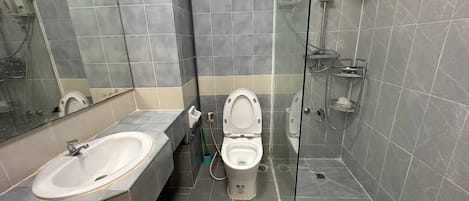 Shower, hair dryer, bidet
