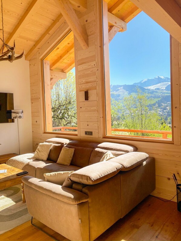 Smart-TV, Kamin