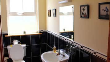 A bathroom with a toilet, sink, and mirror.