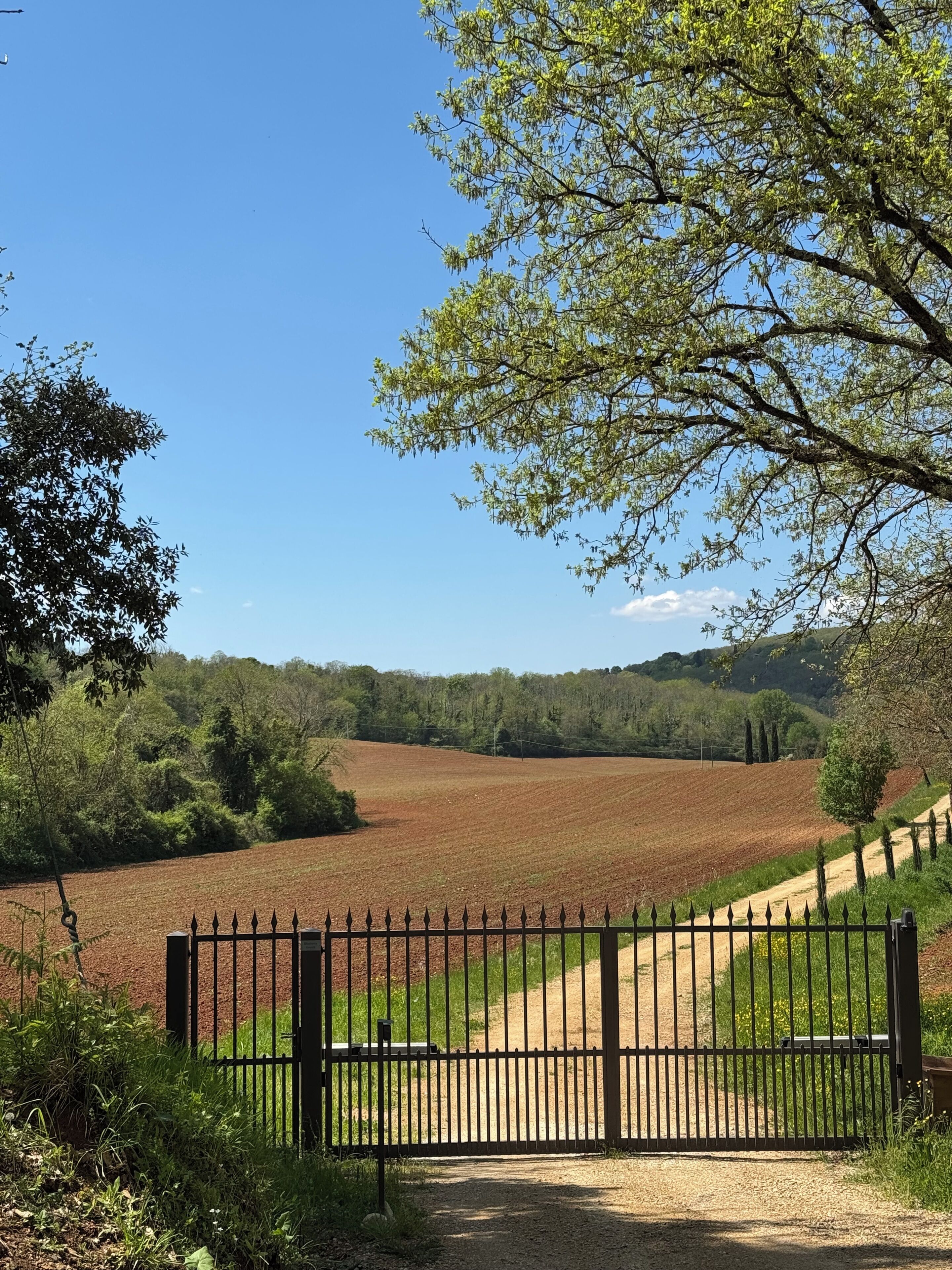 Paisaje rural con un sendero de tierra que lleva a una zona vallada, rodeada de árboles y campos.