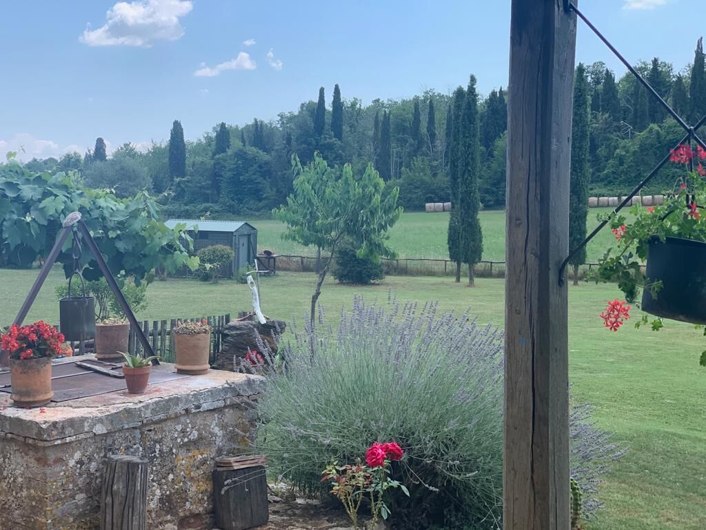 A garden with potted plants, a wooden structure, and a view of a green field and trees.