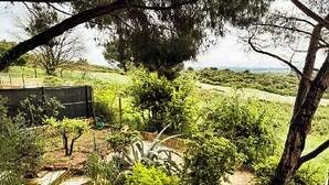 Un jardín con un camino de piedra, una parrilla y diversas plantas.