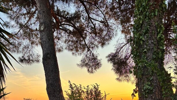 Un jardín con un camino de piedra, árboles y vistas al atardecer.