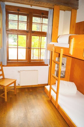Basic Double or Twin Room