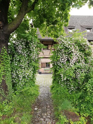 Un chemin de pierre mène à un bâtiment doté d’un toit traditionnel, entouré d’une végétation luxuriante et de plantes grimpantes en fleurs.