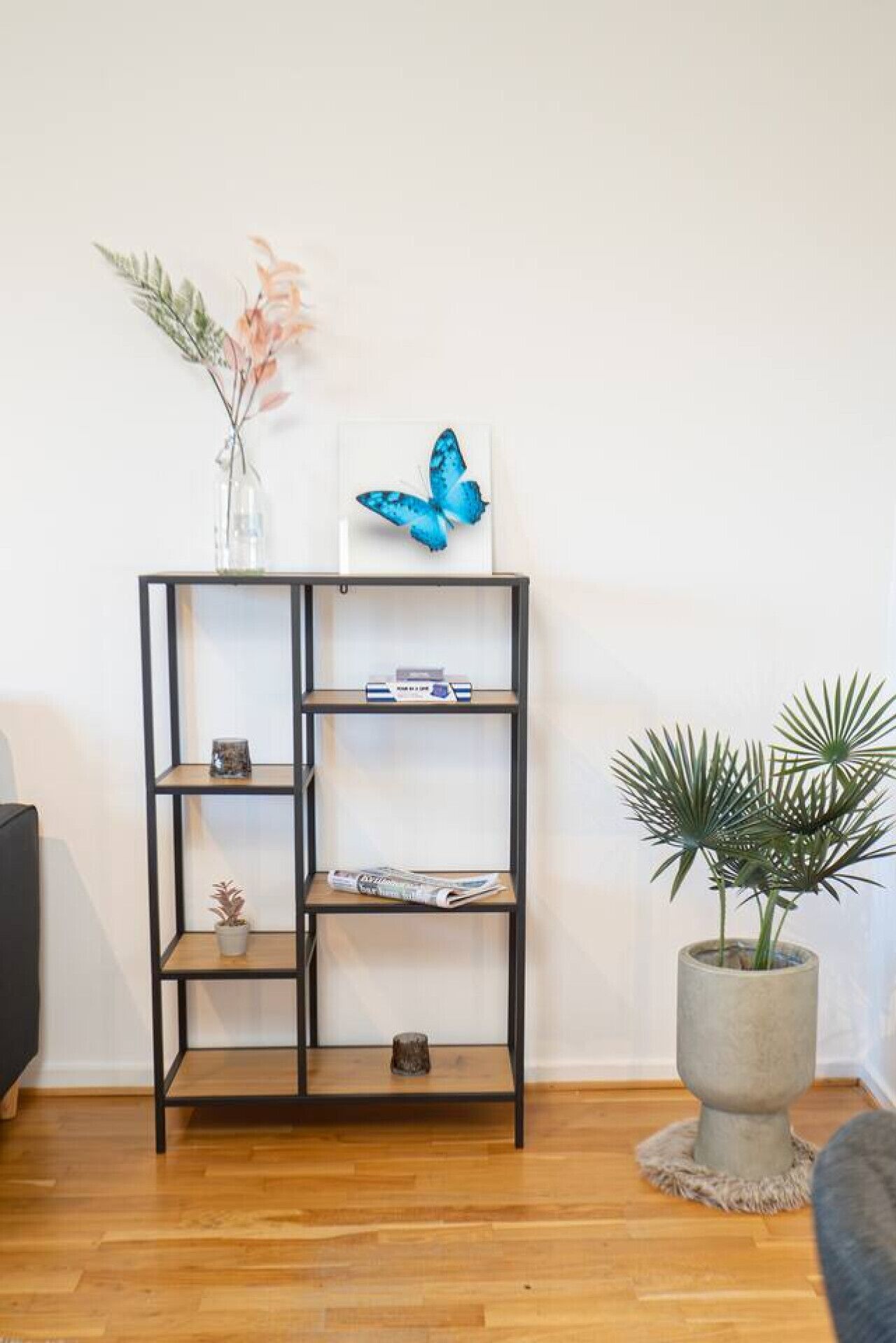 A black metal bookshelf with a blue butterfly artwork on top, a small potted plant, and a magazine on the middle shelf.