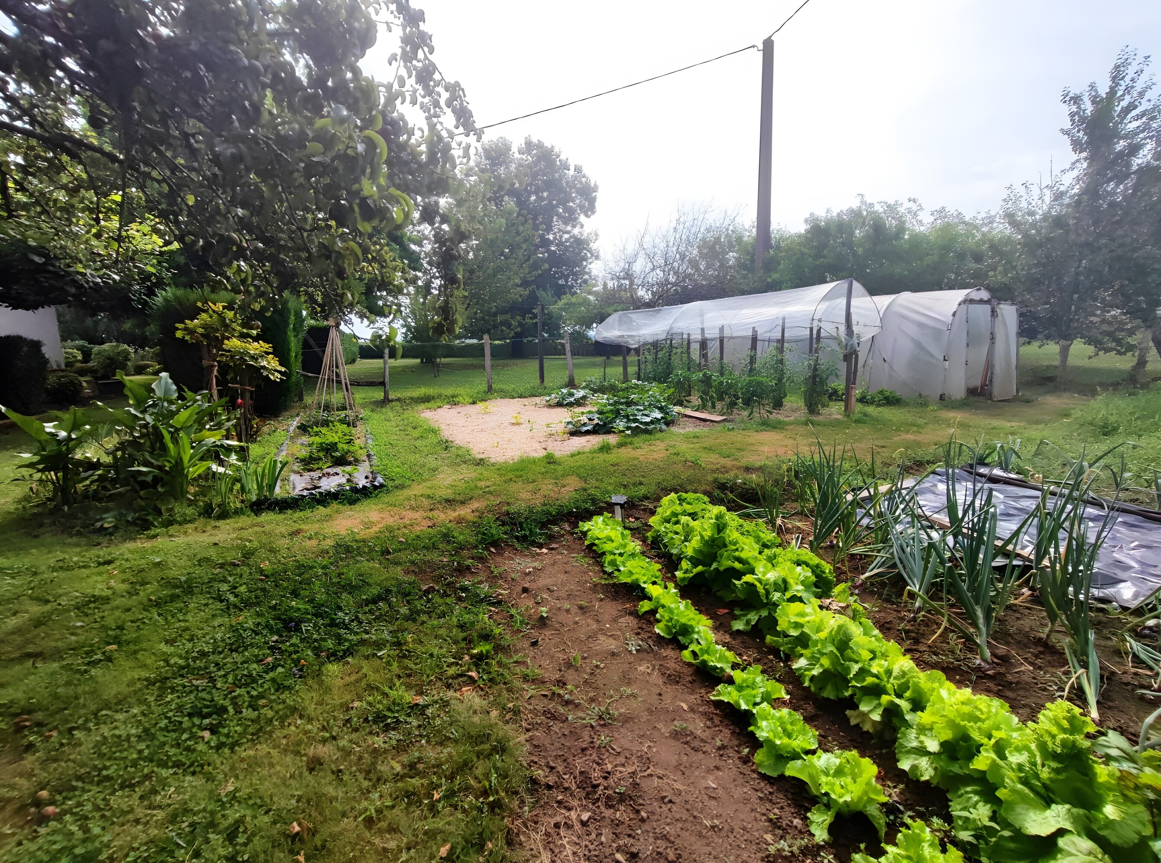 Overnatningsstedets område