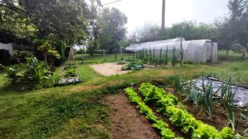 Overnatningsstedets område