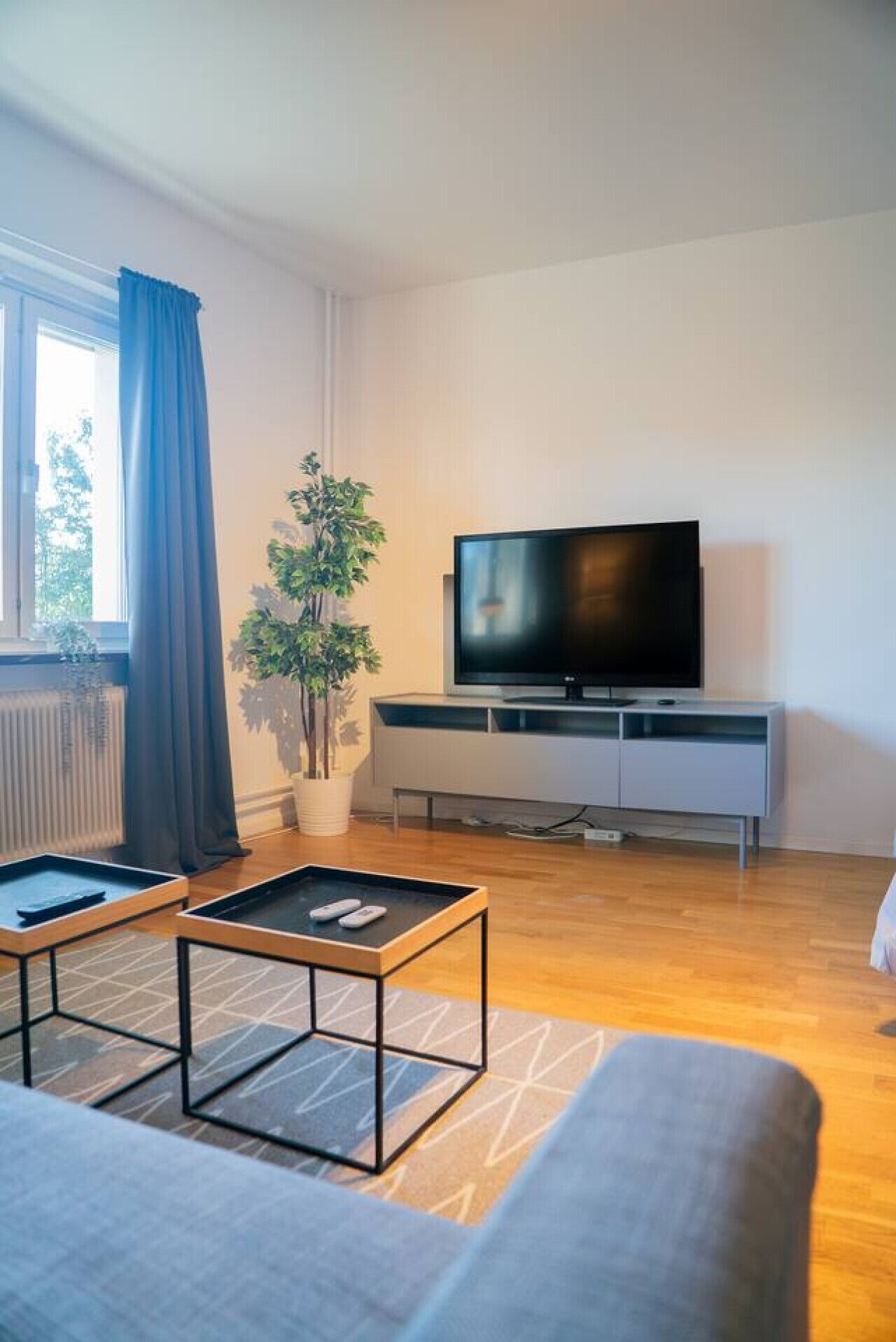 Una sala de estar moderna con un televisor de pantalla plana, un sofá, una mesa de centro y una planta en maceta.