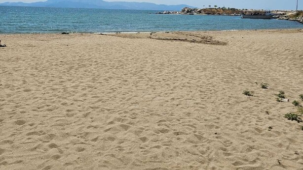 A sandy beach with a calm sea and distant mountains.