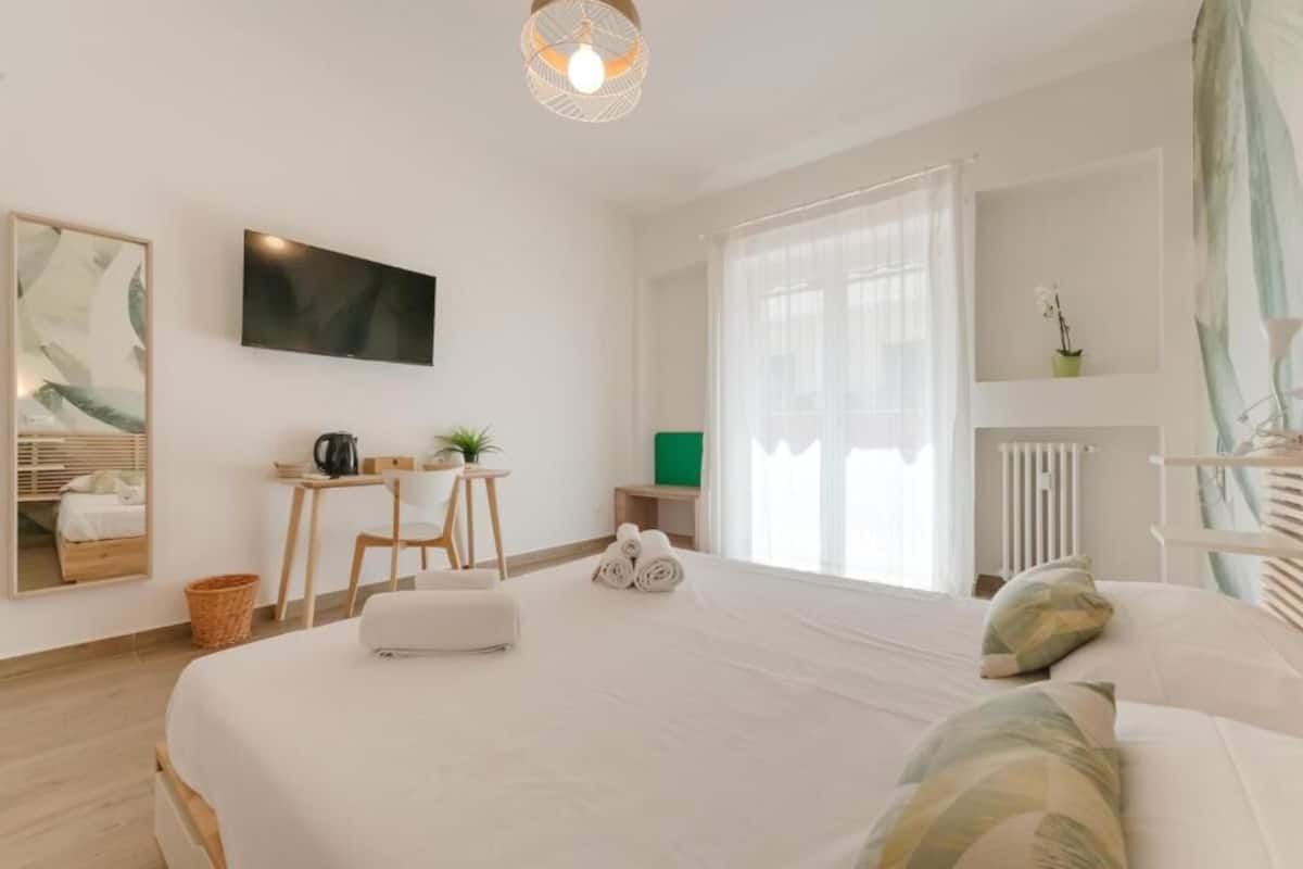 A hotel room with a bed, a desk, a chair, a television, a plant, and a radiator.
