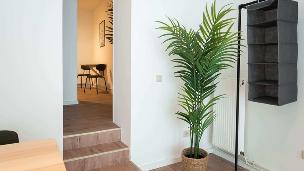 En trappe fører op til et spiseområde, en potteplante og et vægmonteret opbevaringsskab.