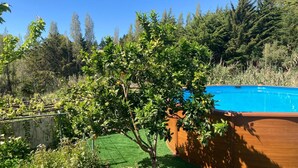 Una piscina rodeada por un jardín exuberante con diversos árboles y arbustos.