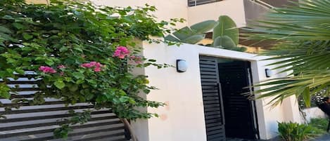 Detalle exterior