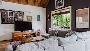 TV connectée, cheminée, livres