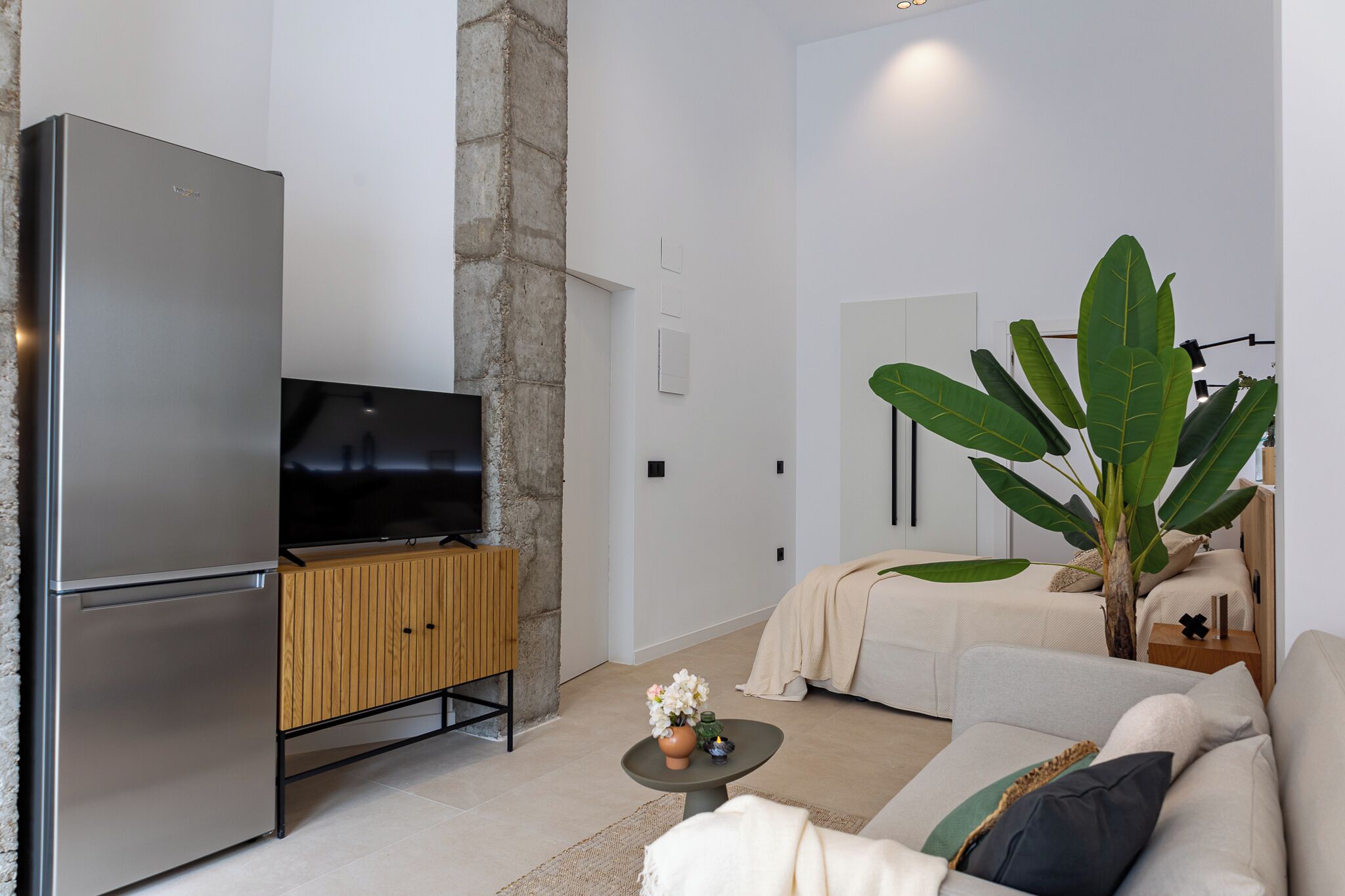 Una sala moderna con televisor de pantalla plana, una planta grande, un sofá y una cama.
