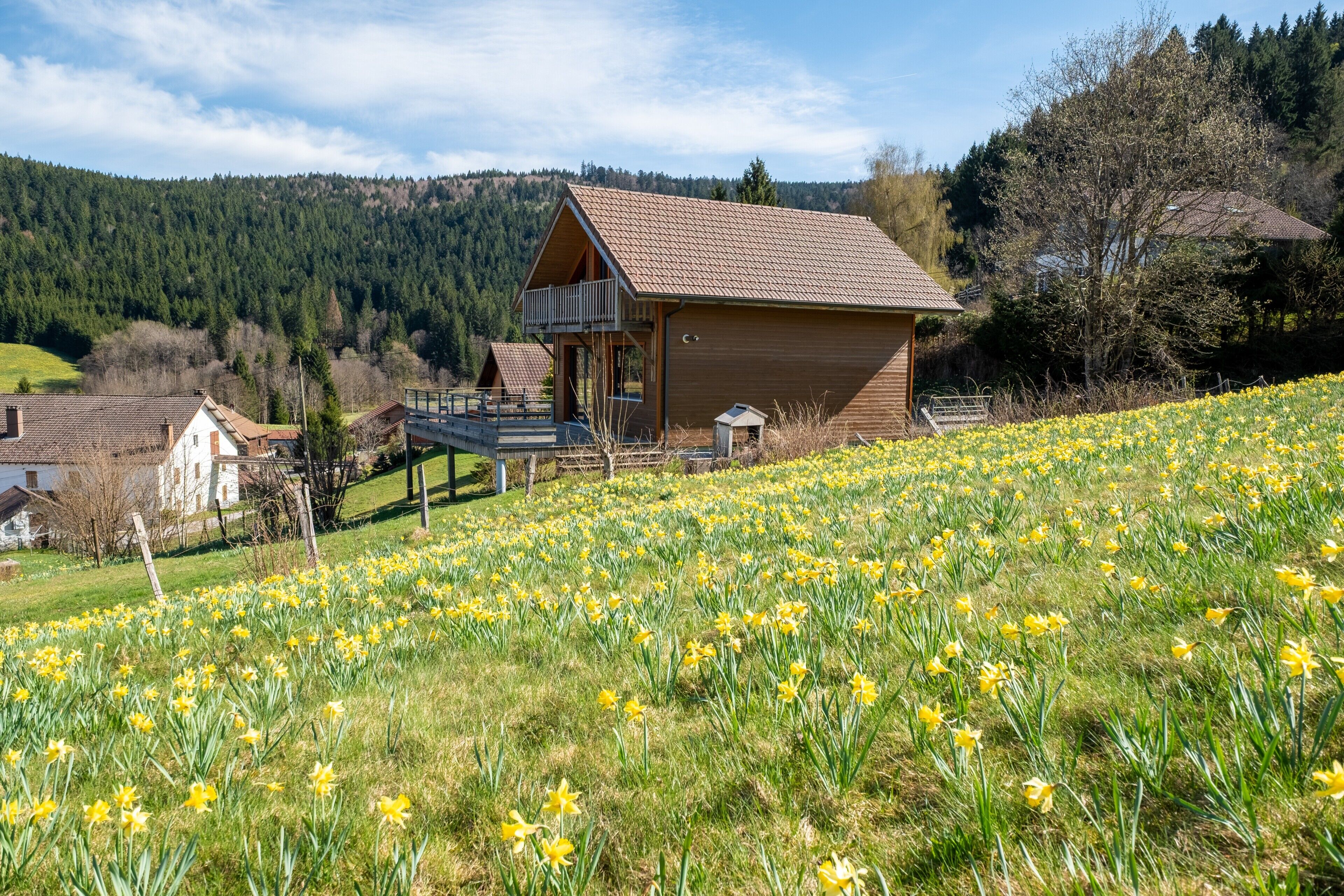 Une cabane en bois dotée d’un balcon, entourée d’un champ de fleurs jaunes, avec en arrière-plan une colline boisée.