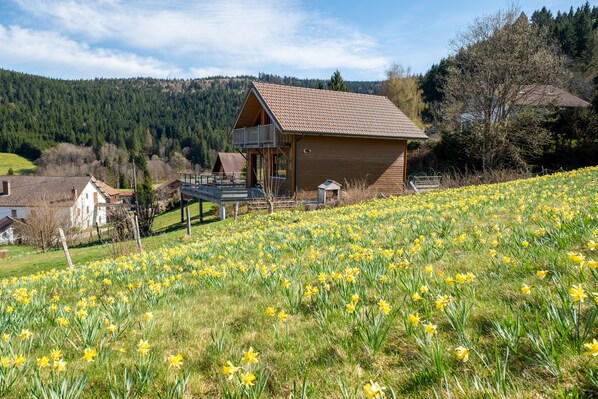 Una cabaña de madera con balcón, rodeada por un campo de flores amarillas, con una colina boscosa de fondo.