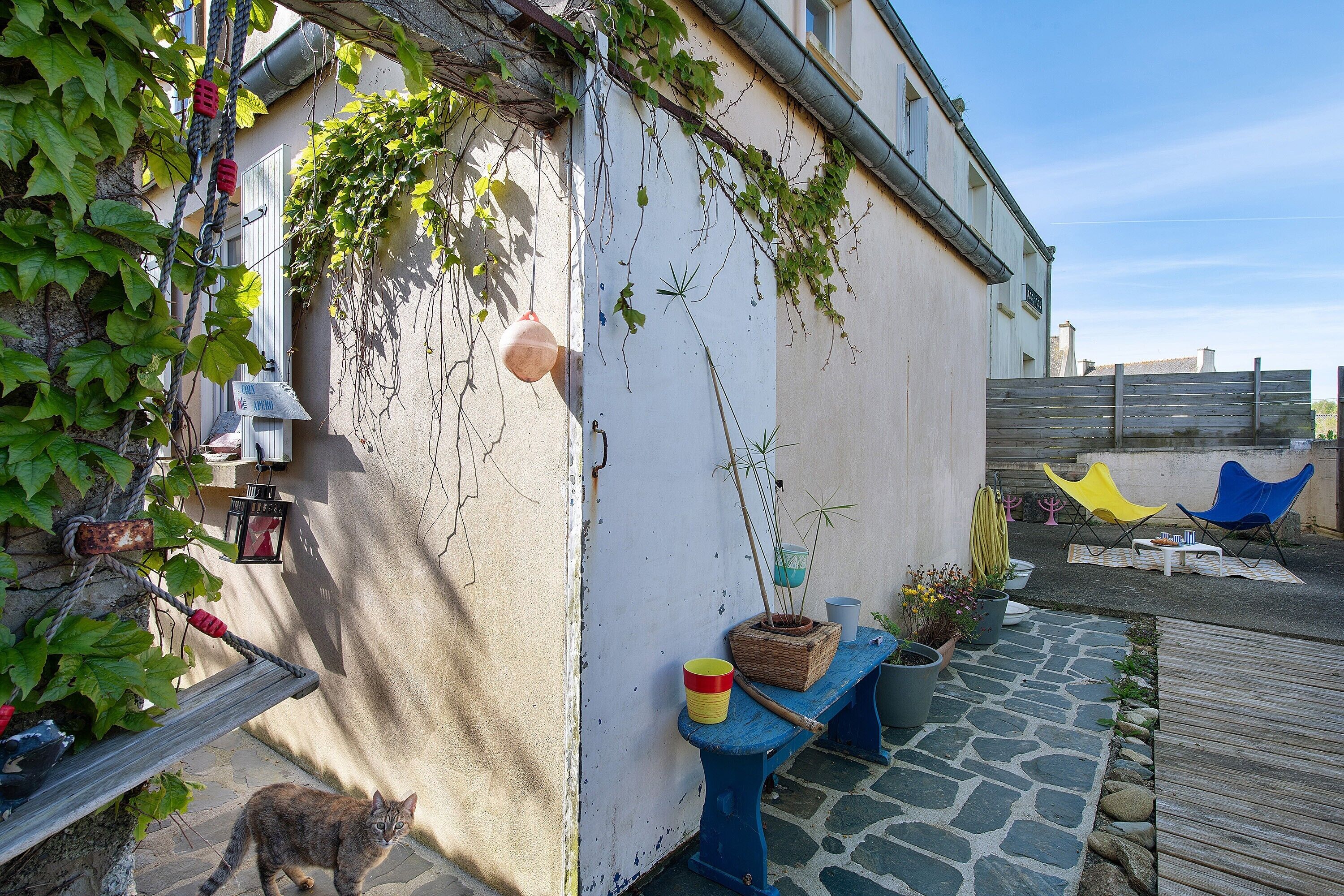 A courtyard with a stone floor, a blue bench, a cat, and a wooden fence.