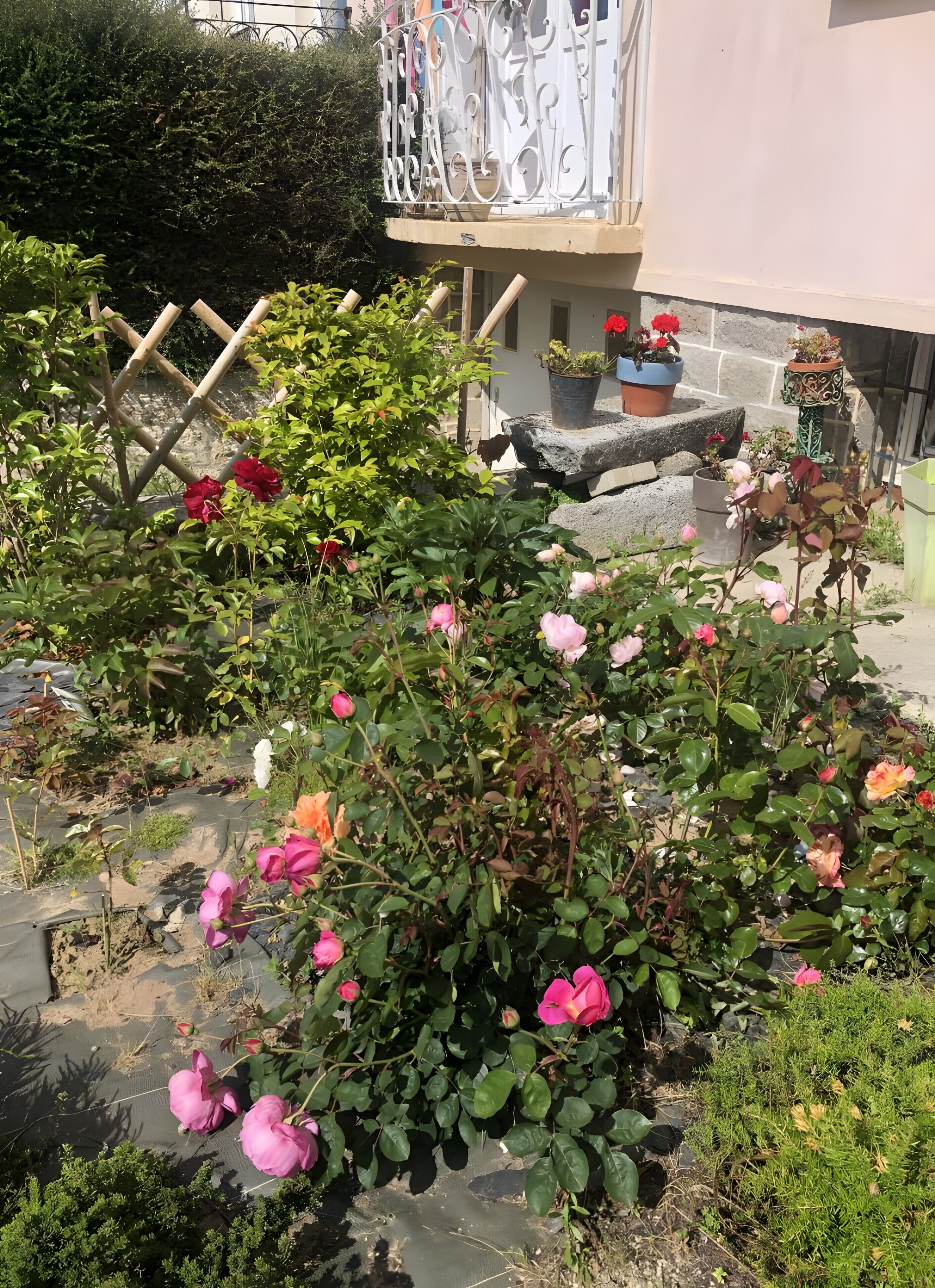 Área da propriedade