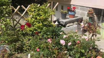 Área da propriedade