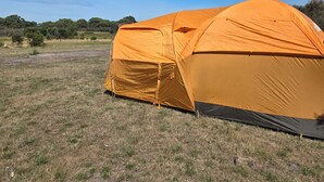 Une grande tente orange est installée dans un champ herbeux, avec des arbres en arrière-plan.