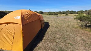 Une grande tente orange ornée du logo « The North Face », installée dans un champ herbeux, avec des arbres en arrière-plan.