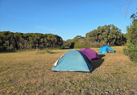 Property grounds. Bayview Cabins & Camping - Jaswa's Paradise Camping Site