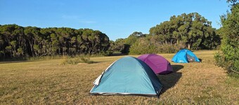 Bayview Cabins & Camping - Jaswa's Paradise Camping Site