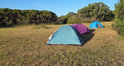 Bayview Cabins & Camping - Jaswa's Paradise Camping Site