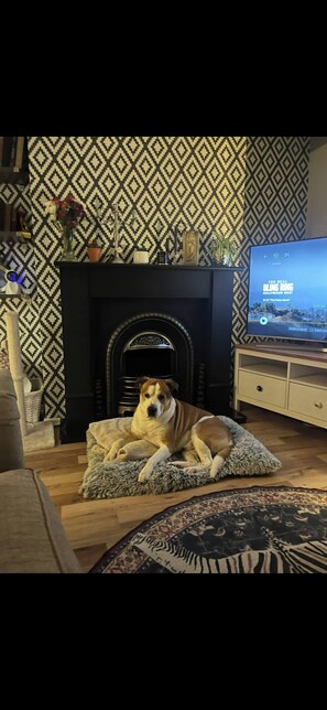 Kamer, 1 slaapkamer, roken | Woonkamer