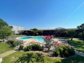 Pool - Modern Centro studio with cozy finishes (Austin)