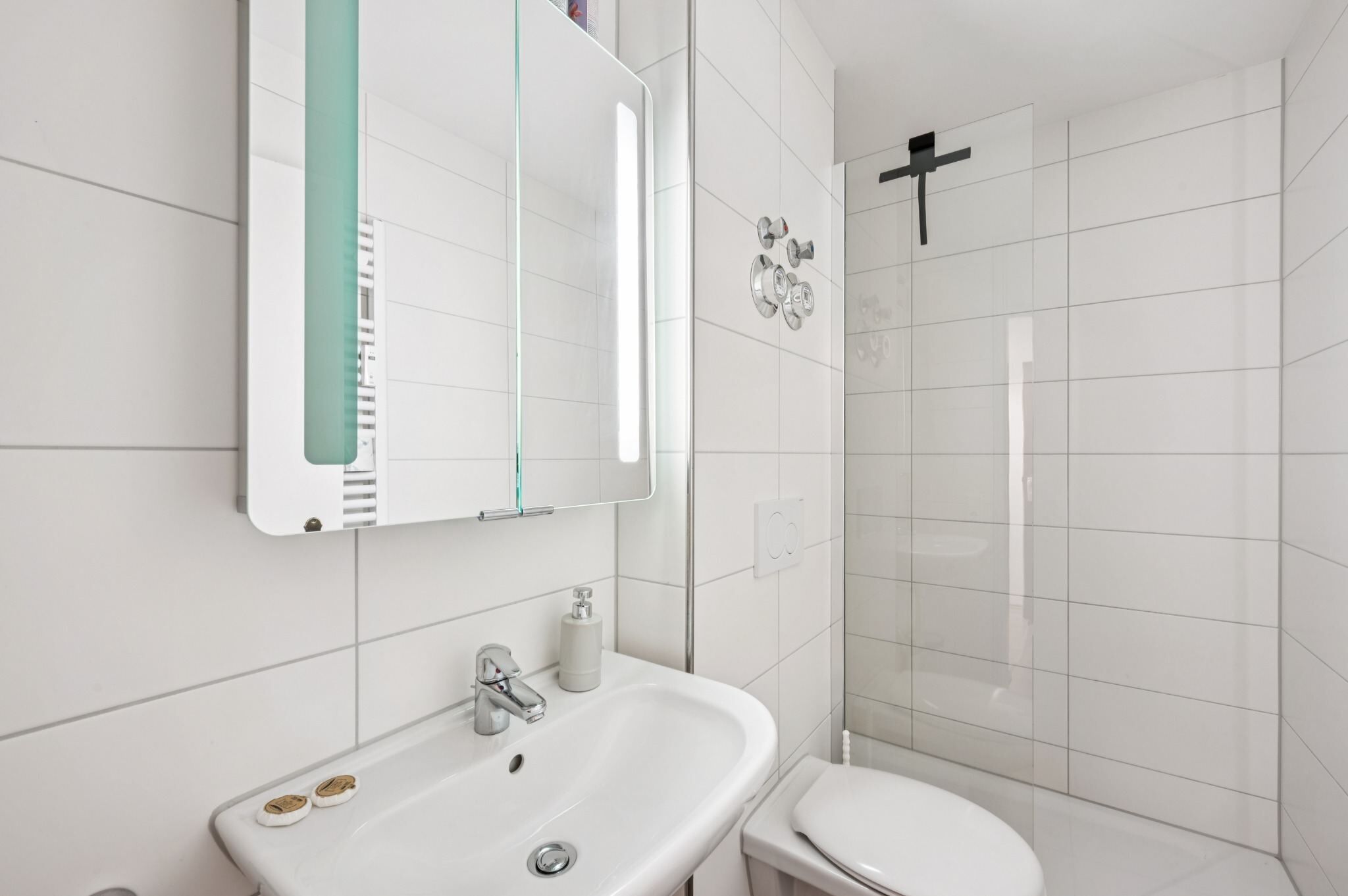Une salle de bain avec un lavabo, des toilettes et une douche.