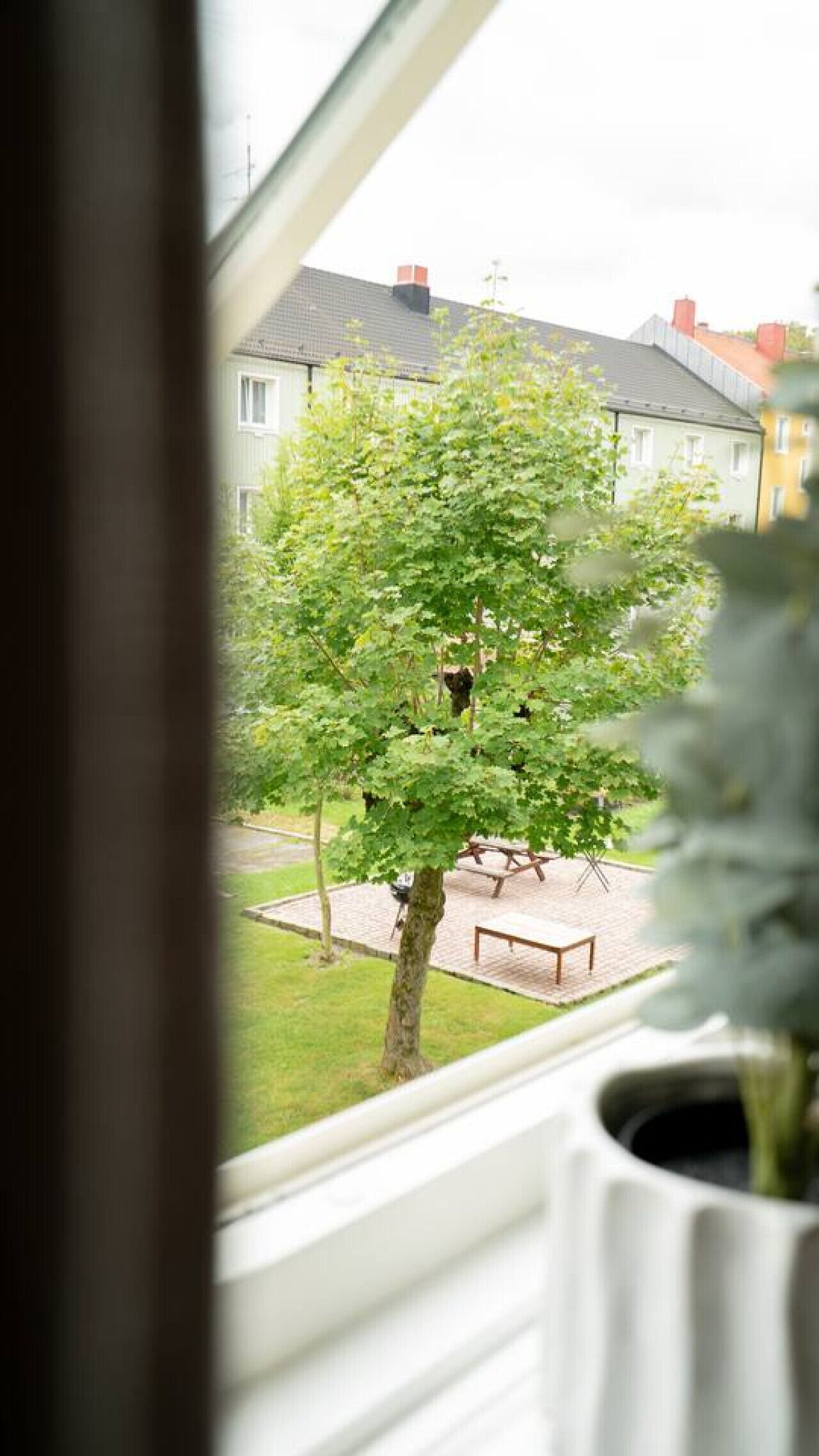 En utsikt från ett fönster mot en gata kantad av träd, med en bänk och en byggnad i bakgrunden.