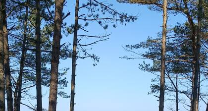 Quiet semi-detached house on the Baltic Sea near Kolberg - each apartment up to 7 pers.