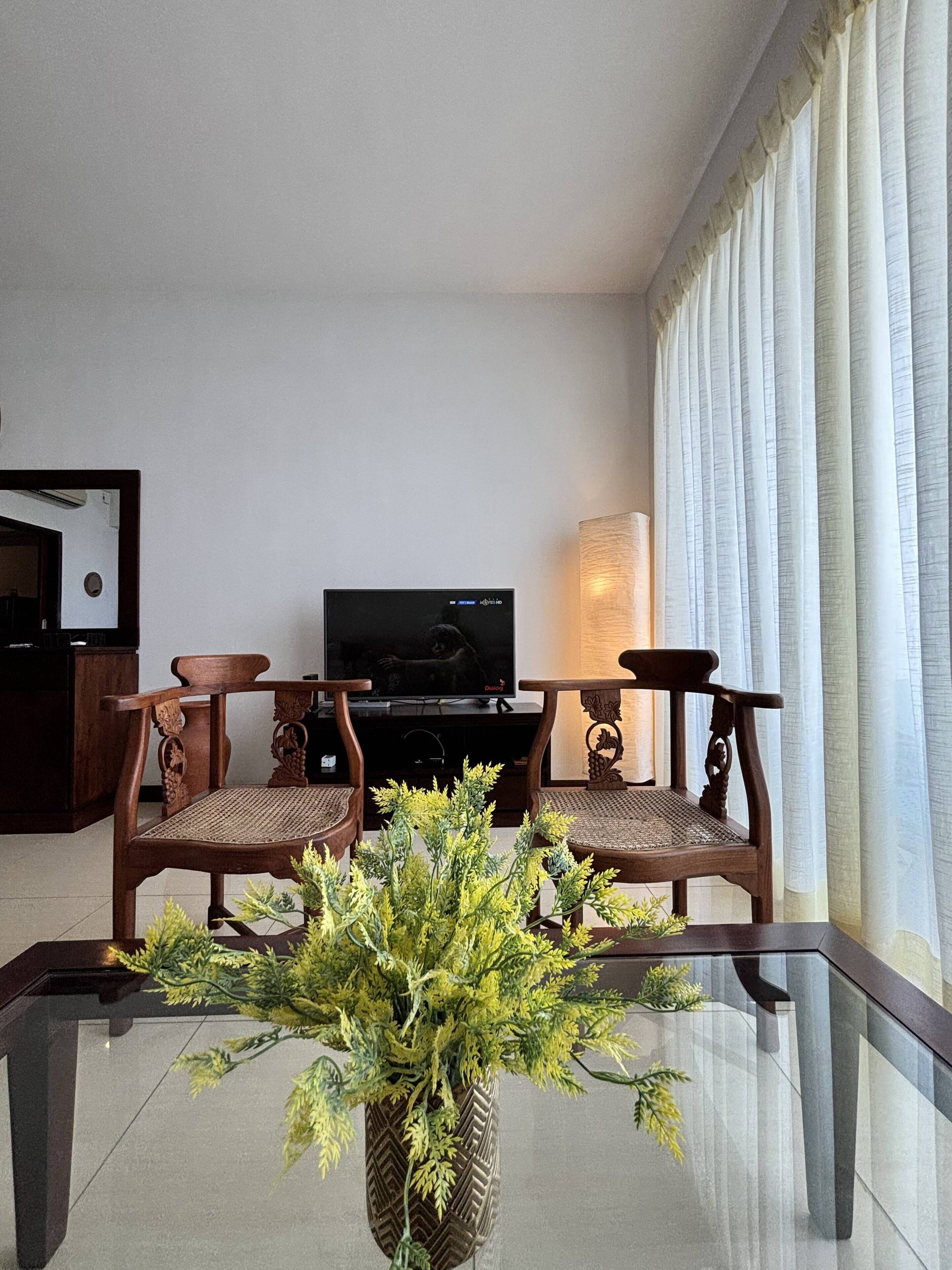 A living room with a TV, two wooden chairs, a glass coffee table, and a potted plant.