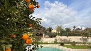Piscina com borda de pedra, rodeada por um jardim com laranjeiras.