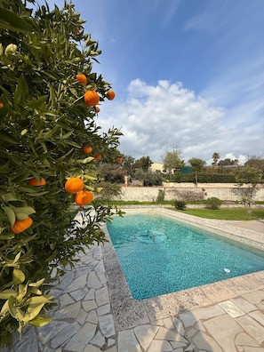 A swimming pool with a stone border, surrounded by a garden with orange trees. - Pool • Climate - Golf - Near Saint-Tropez-Wi-fi (Roquebrune-sur-Argens)