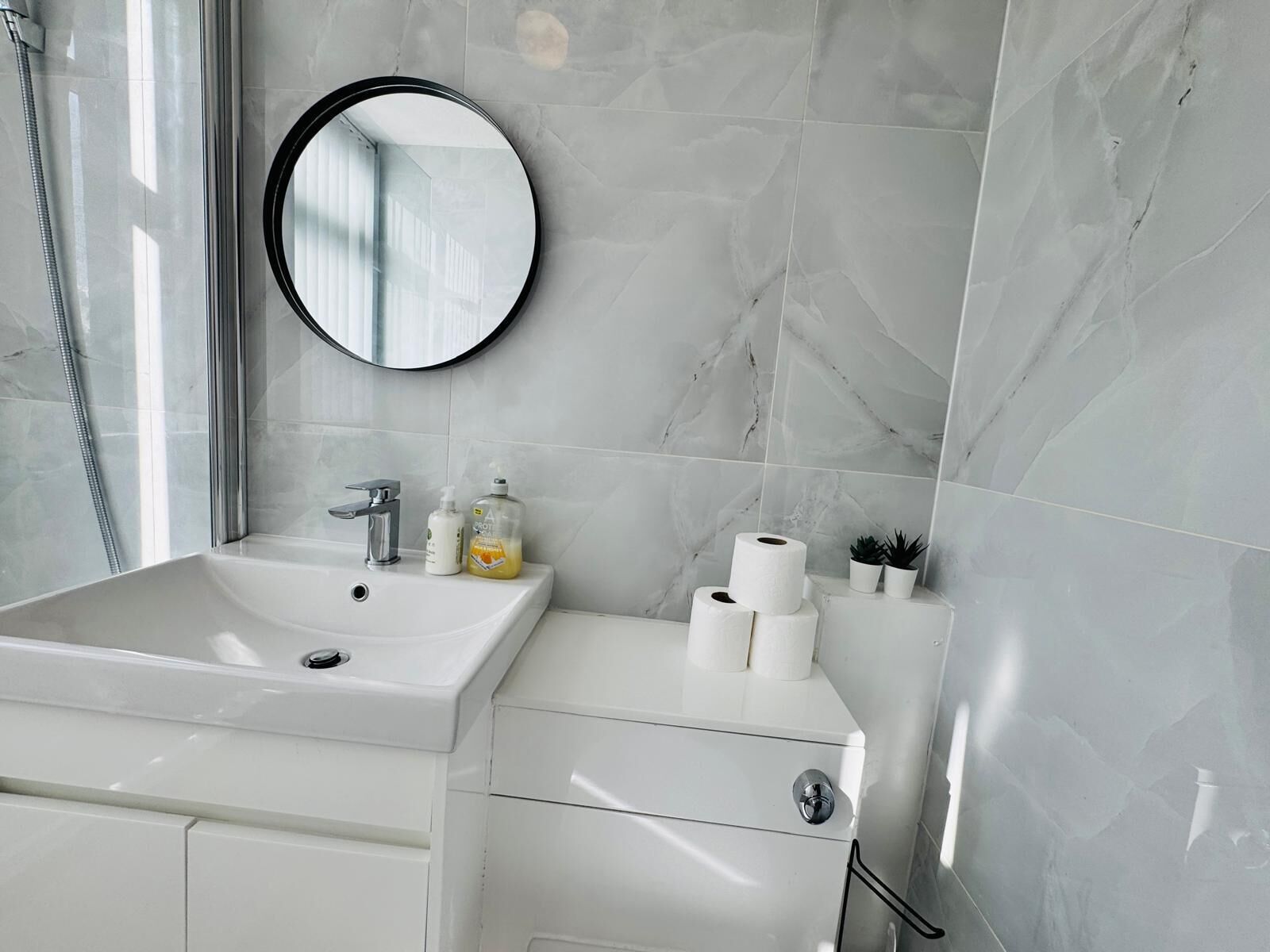 A bathroom with a white sink, a round mirror, a toilet paper holder, and a small potted plant.