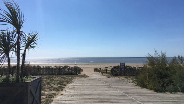 Une promenade en bois menant à une plage bordée de palmiers et délimitée par une clôture en bois.