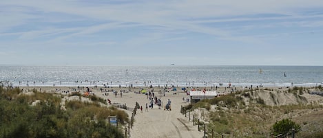 På stranden