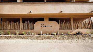 A building facade with a sign reading 'Casanova,' a stone wall, and a row of cacti.