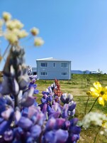 Una casa moderna con techo plano y forma rectangular, rodeada de un área verde con flores.
