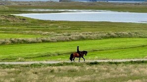 Una persona monta a caballo por un sendero cubierto de hierba, con un cuerpo de agua y montañas al fondo.