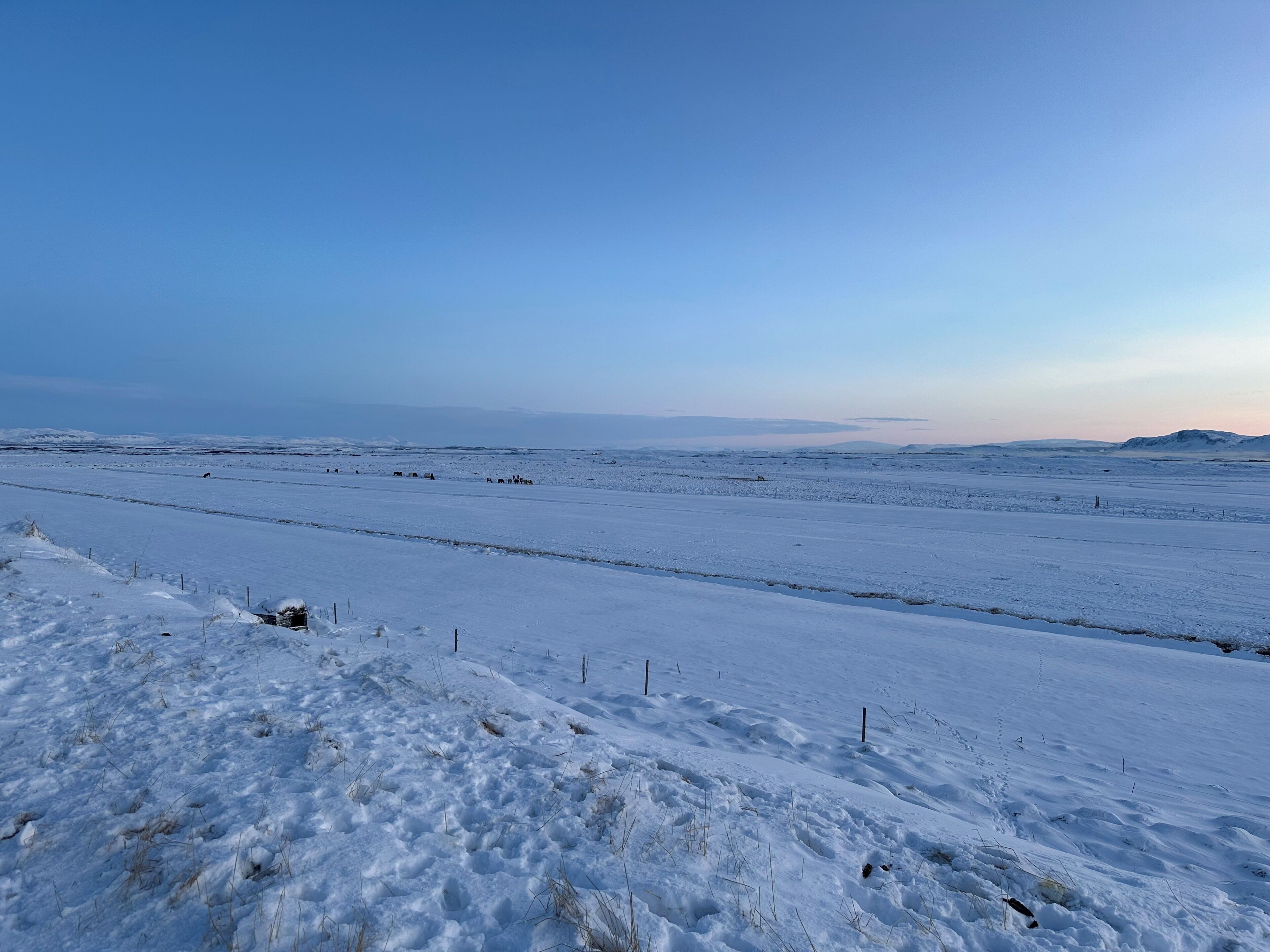 Un champ enneigé avec une clôture au premier plan et des collines lointaines sous un ciel dégagé.