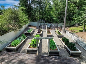 A garden with raised beds, a greenhouse, and a paved walkway. - Grand opening to gorgeous Asheville house! (Asheville)