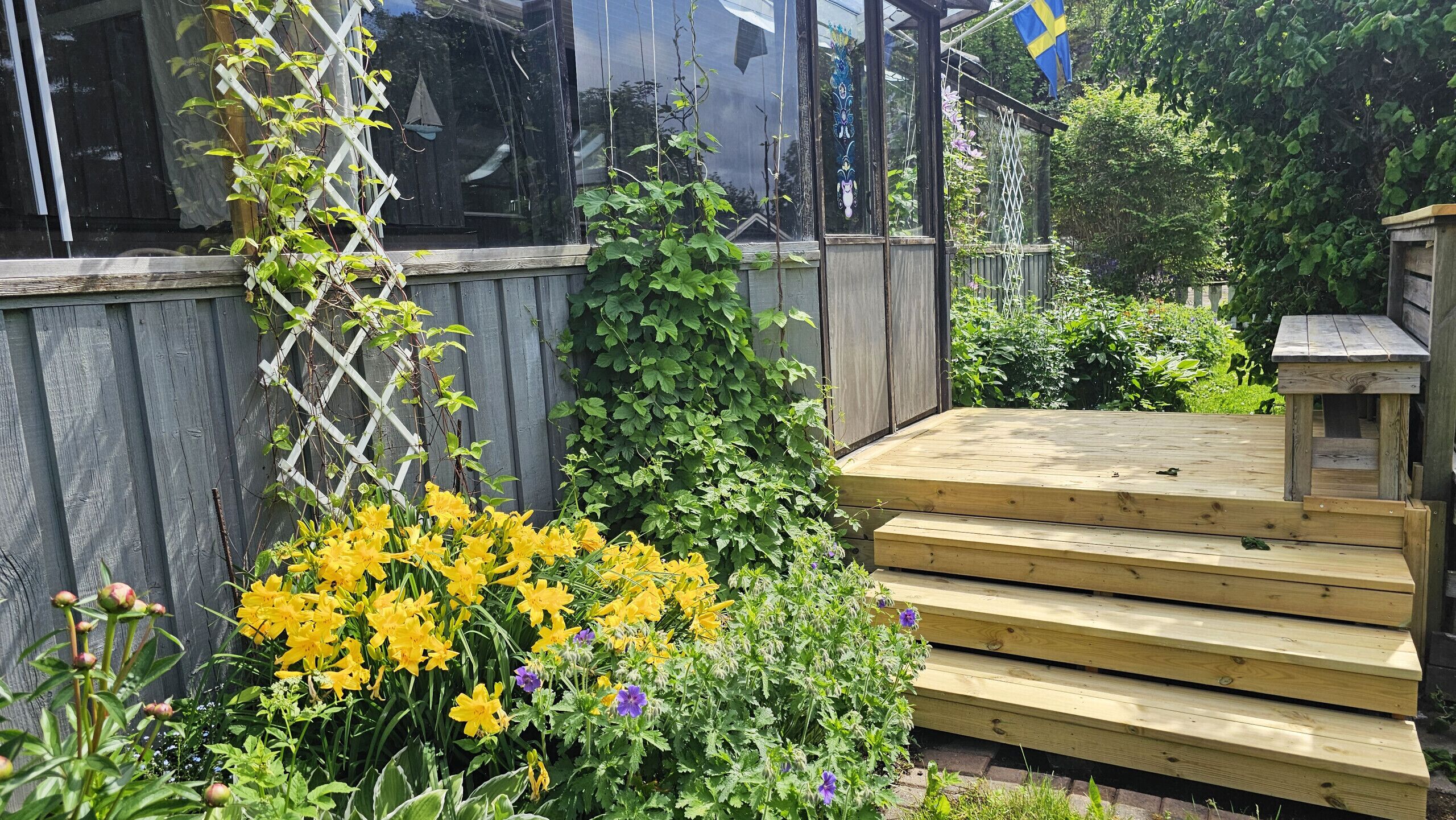 Una terraza de madera con escalones que llevan a un banco de madera, rodeada de abundante vegetación y flores amarillas.