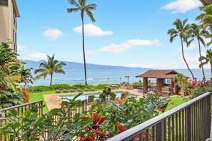 Property grounds - Gorgeous New Seaside Studio Retreat (Lahaina)