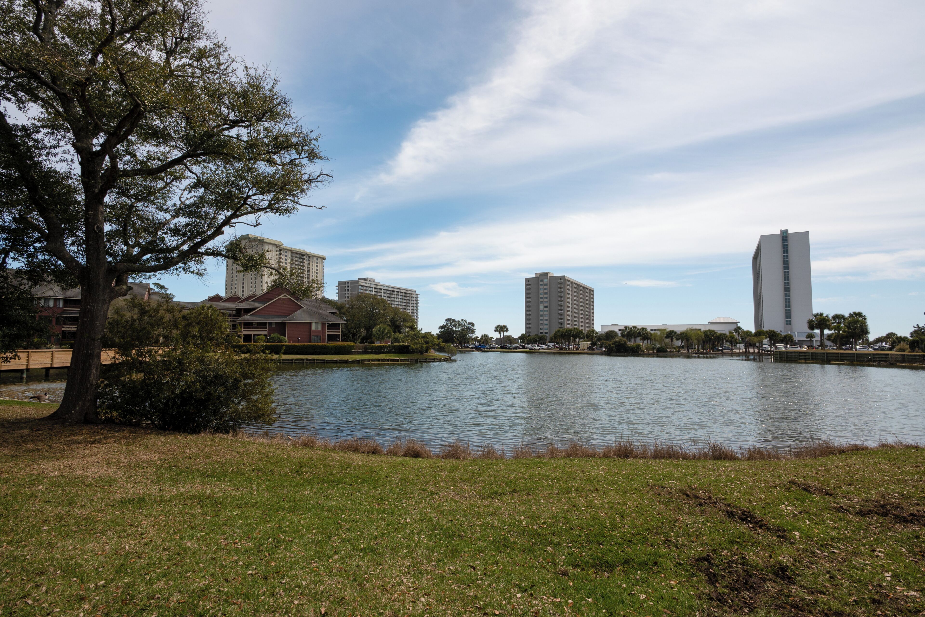 A park with a lake, trees, and buildings in the background.
