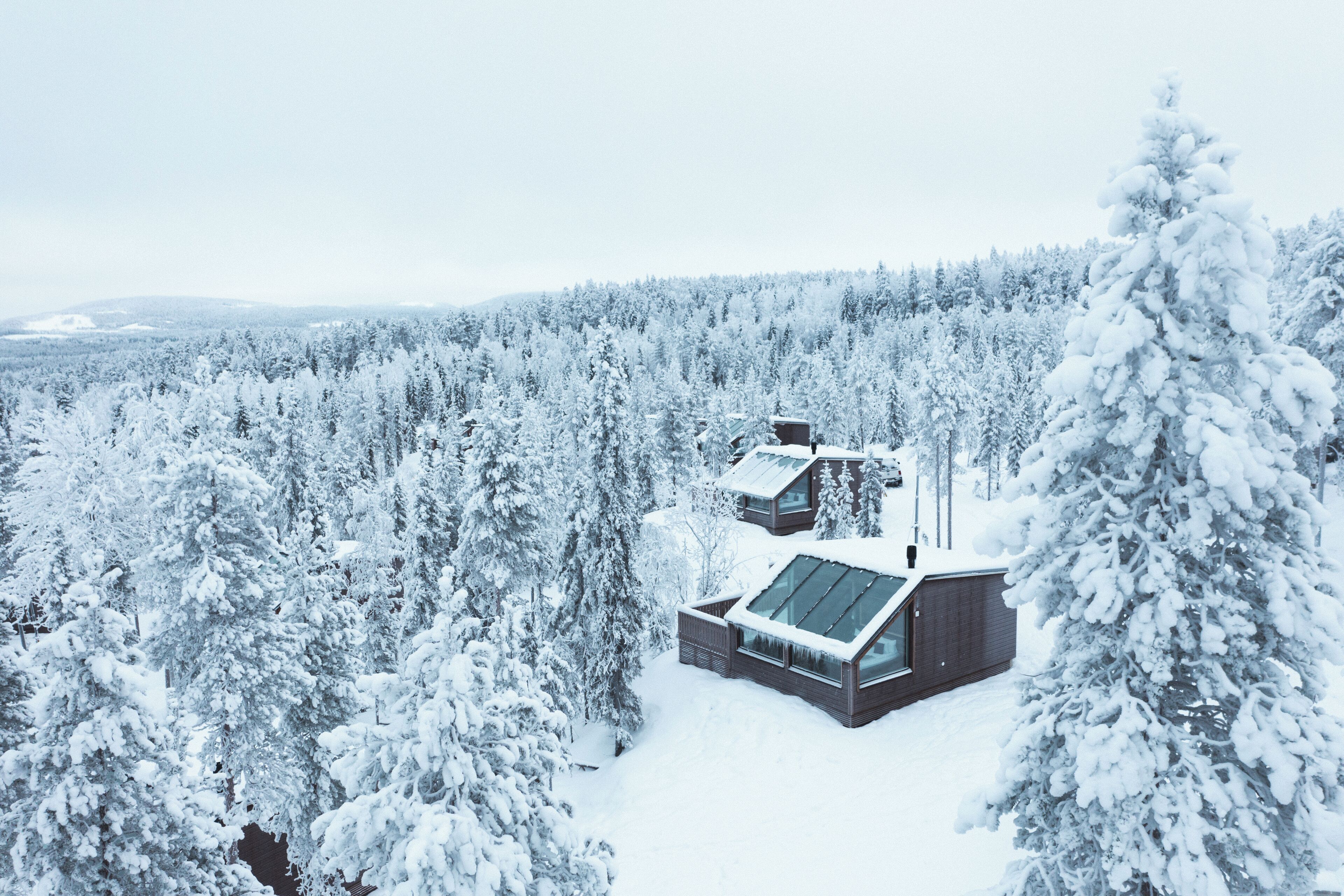 Lumipeitteisen metsän keskellä sijaitseva mökki, jossa on lasikatto ja puinen ulkoverhous.